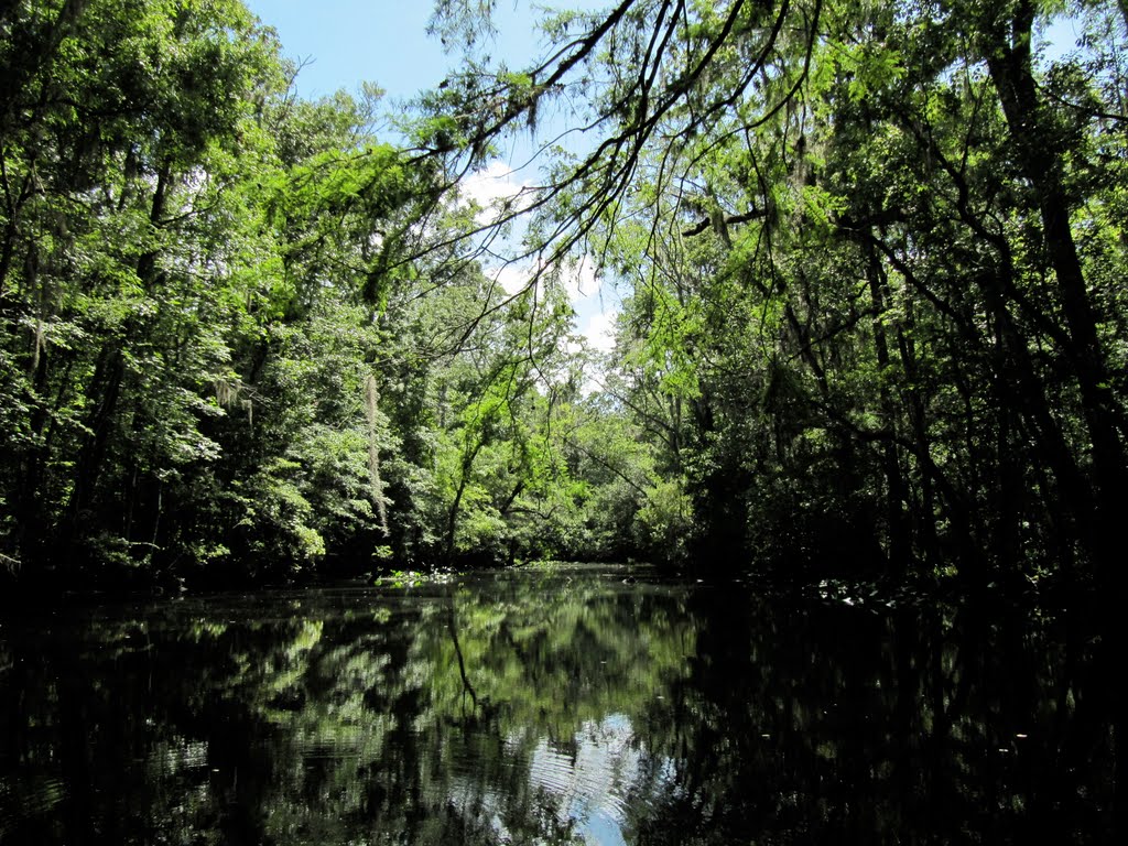 Peters Creek View 17