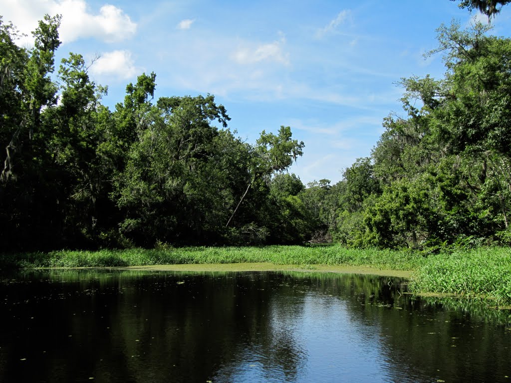 Black Creek Tributary View 1