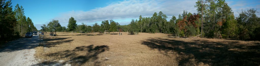 Native World site far SE Corner looking West