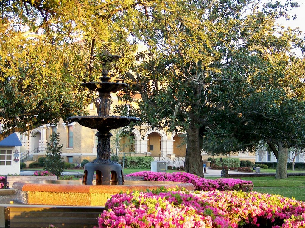 Historic Ferdinand Plaza at sunset