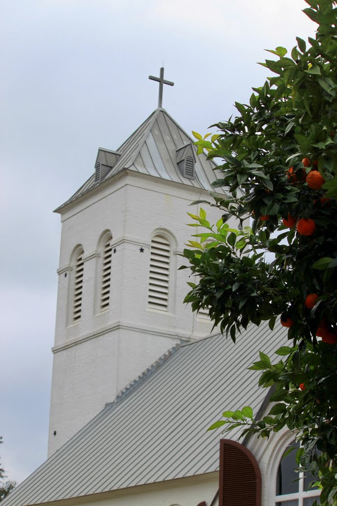 Orange tree behind historic Old Christ Church