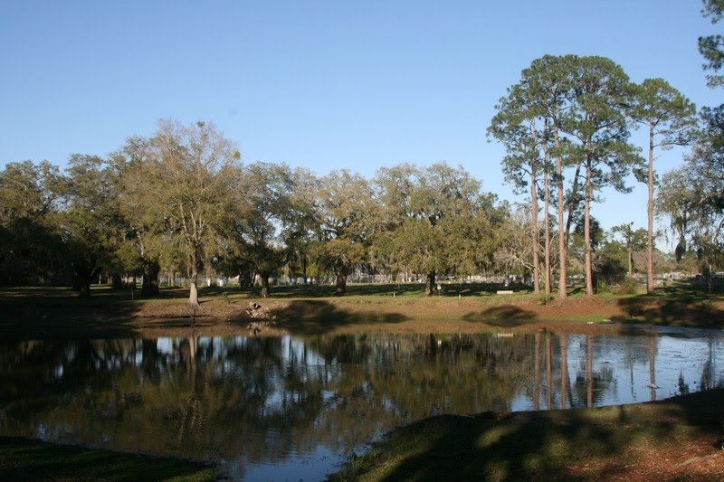 Duck Pond