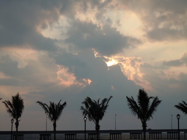 Charlotte Harbor