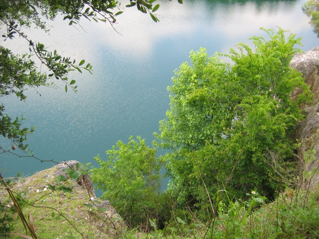 Razorback overlook