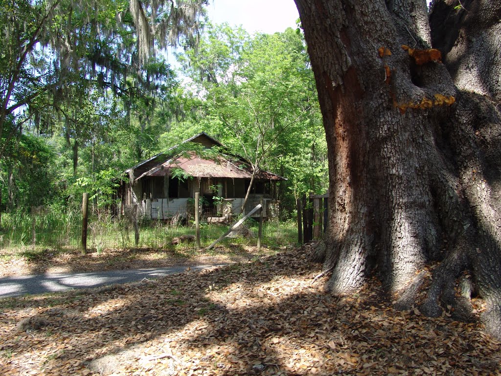 historic Nora Jackson house, Reddick Fla (4-28-2012)