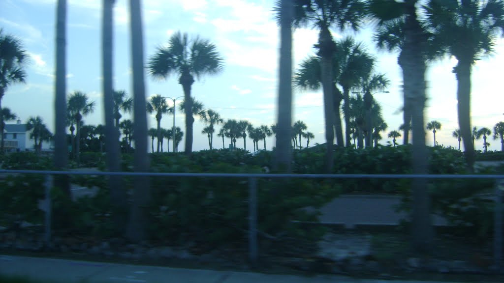Gulf Blvd.