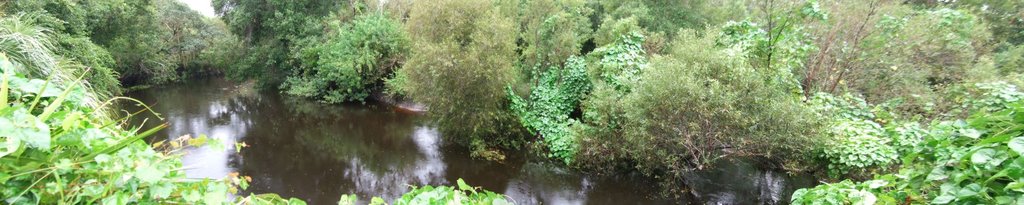 Little Manatee River State Park - River Panarama