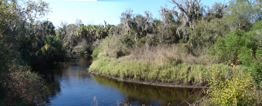 Little Manatee River Bend