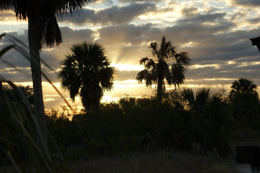 Sunrise at EG Simmonds Park