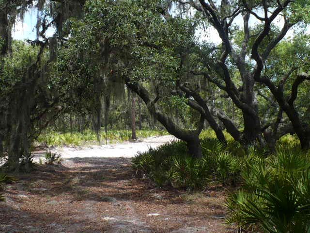Oak Tunnel: Bullfrog Creek Mit. Park