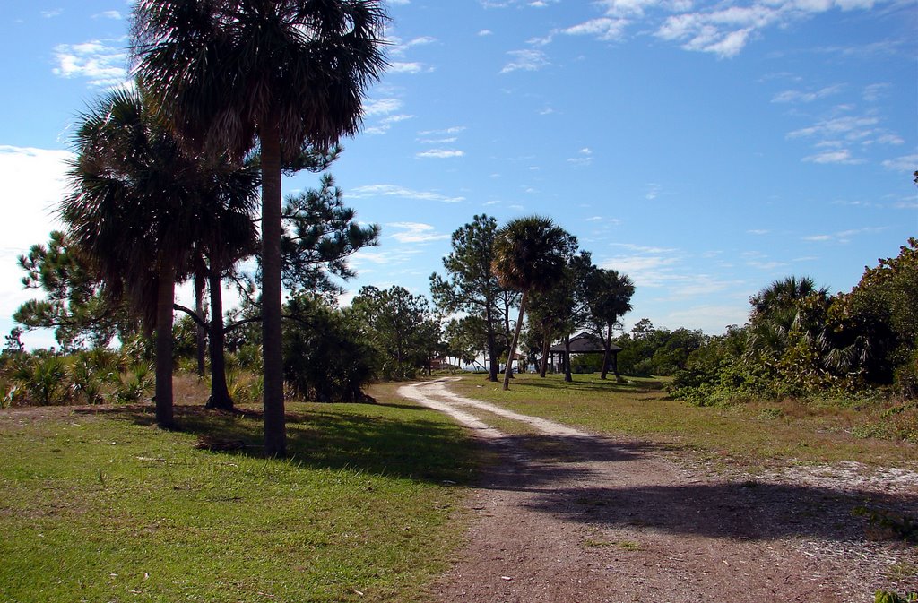Strolling Simmons Park