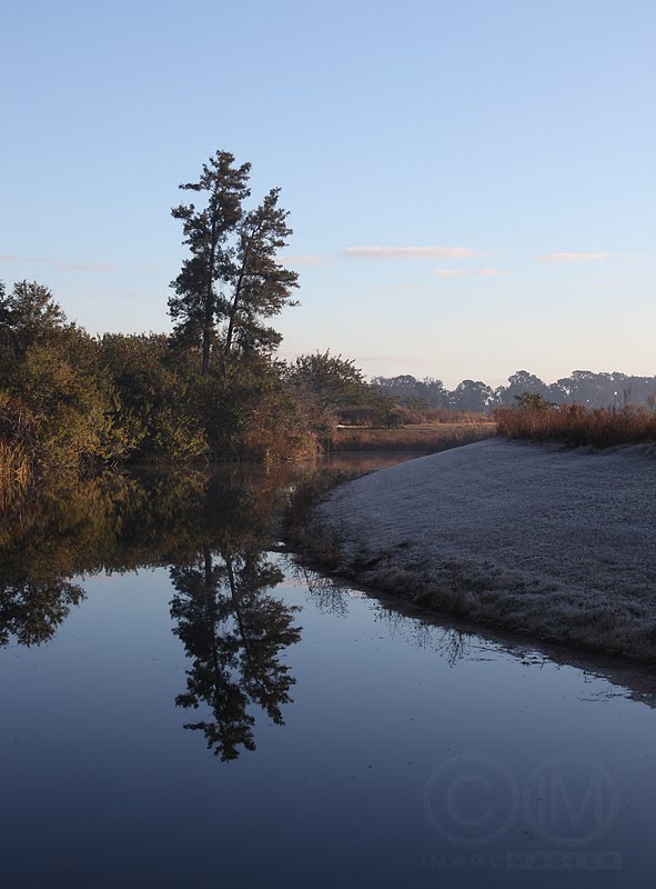 Florida Winter Frost in Apollo Beach