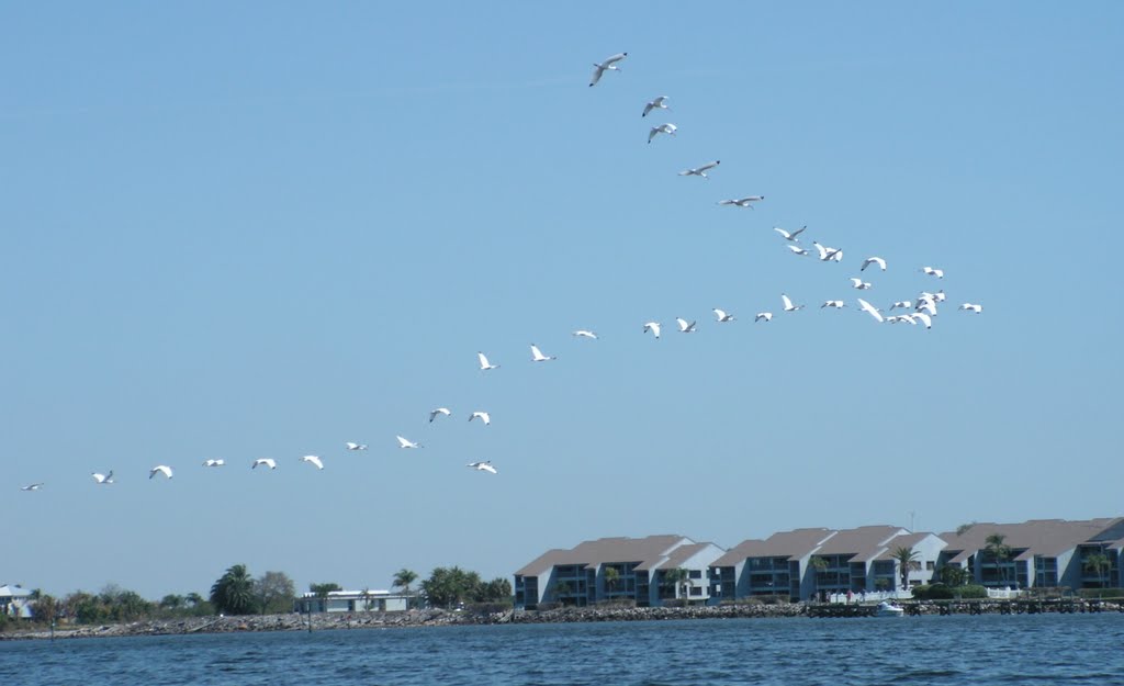 Shell Point, FL - Flagship Kayak Team