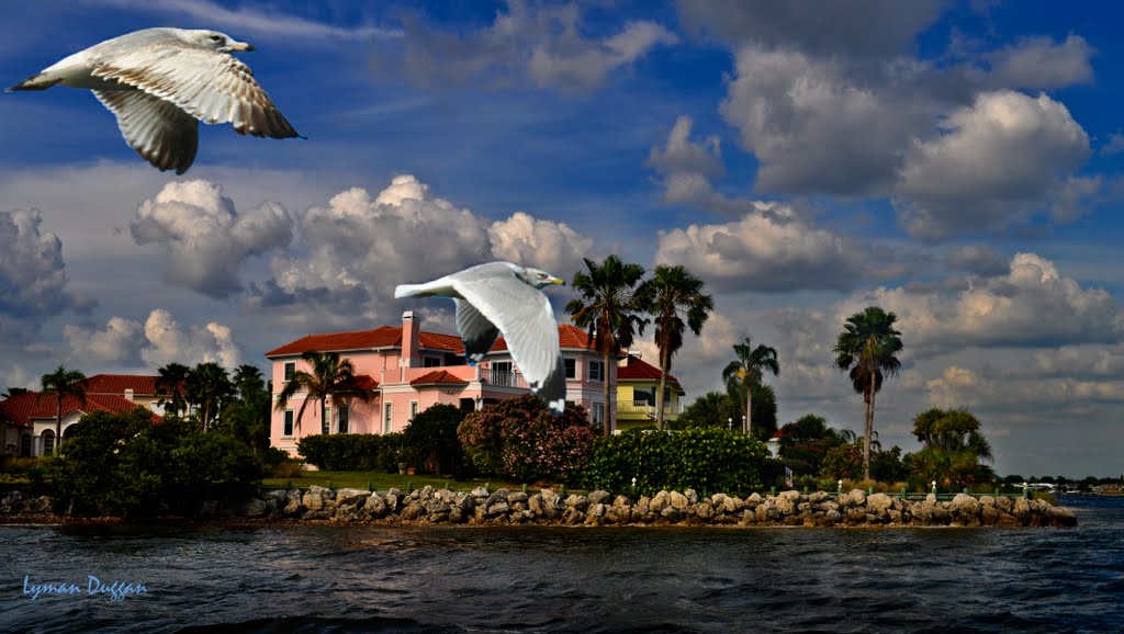 Sailing Back at Apollo Beach, Florida