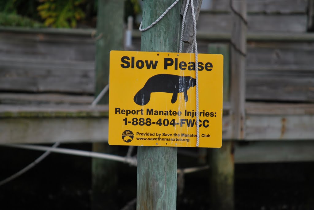 Manatee warning