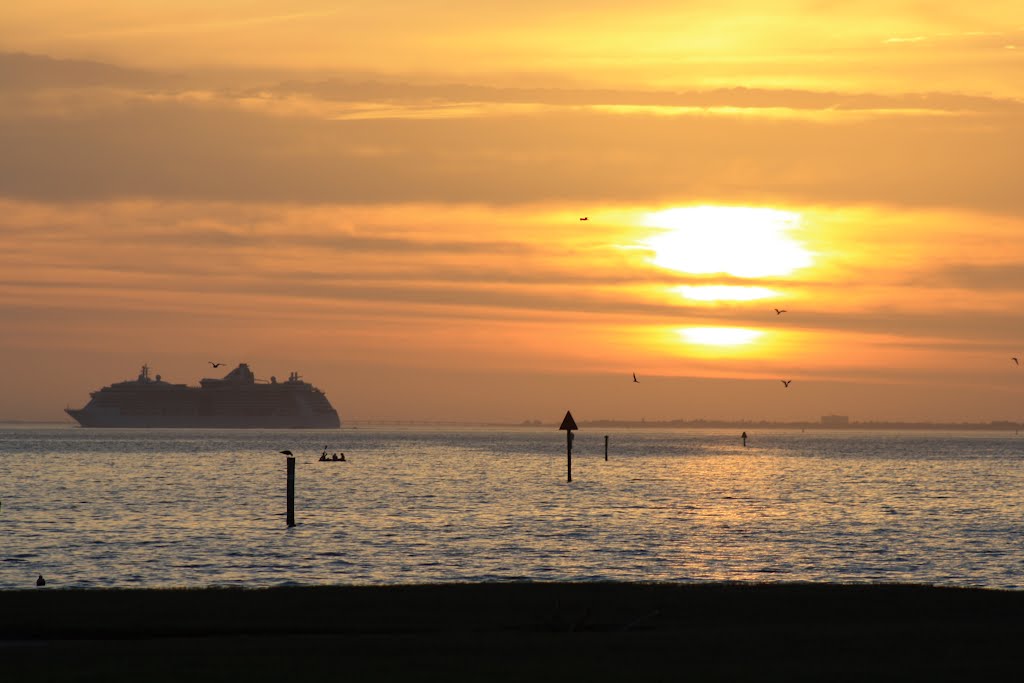 Cruising in the Bay