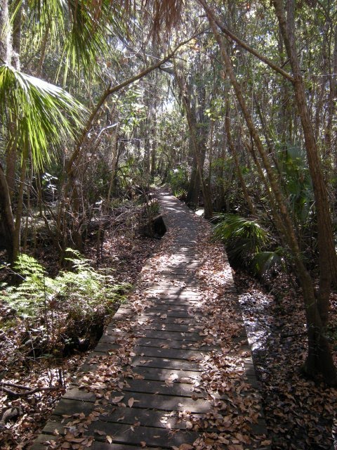 Little Manatee River State Park hiking trail - bridge