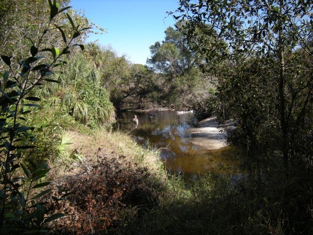 Little Manatee River State Park hiking trail - Canoes on the Little Manatee River