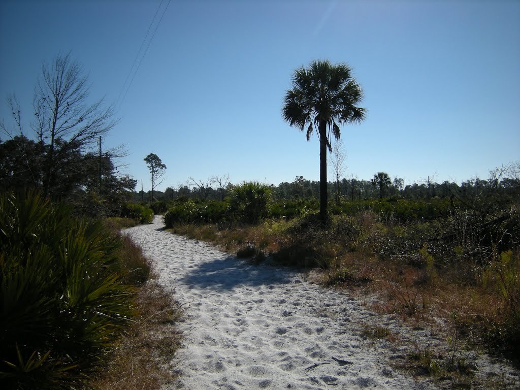 Equestrian trail