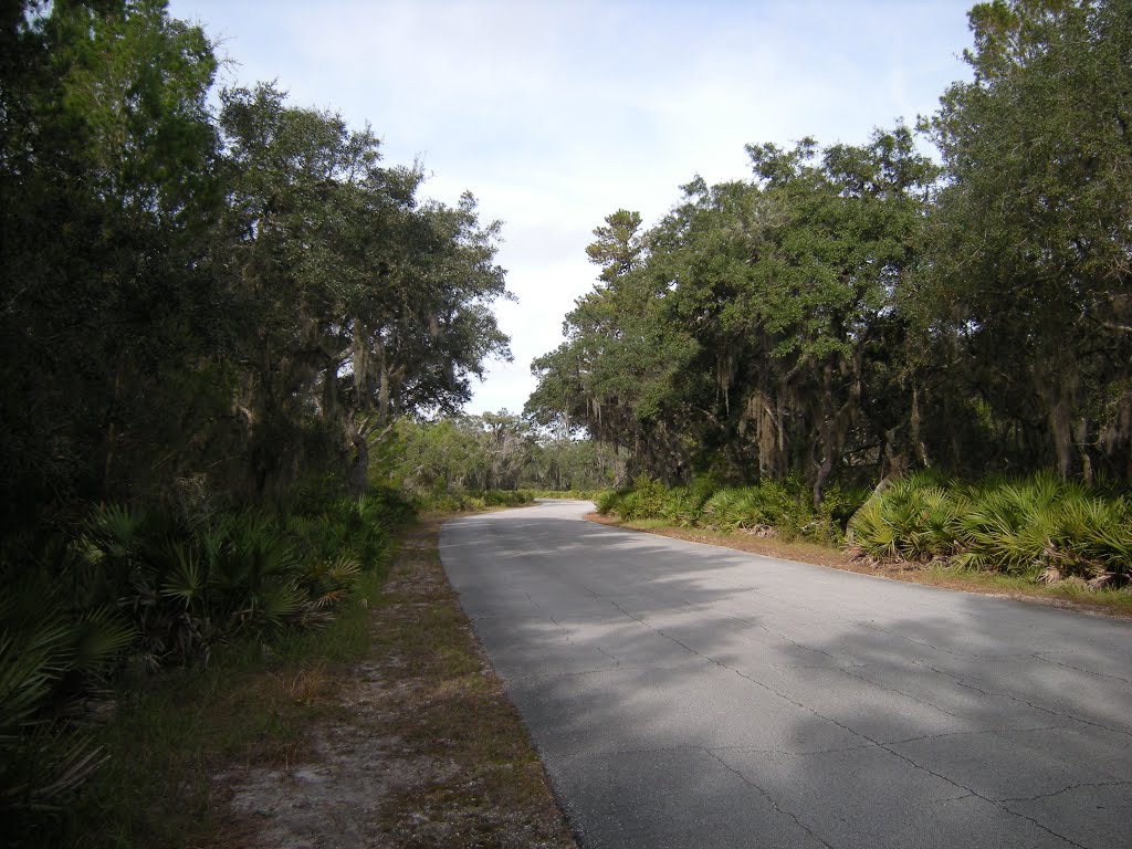 Road into the park