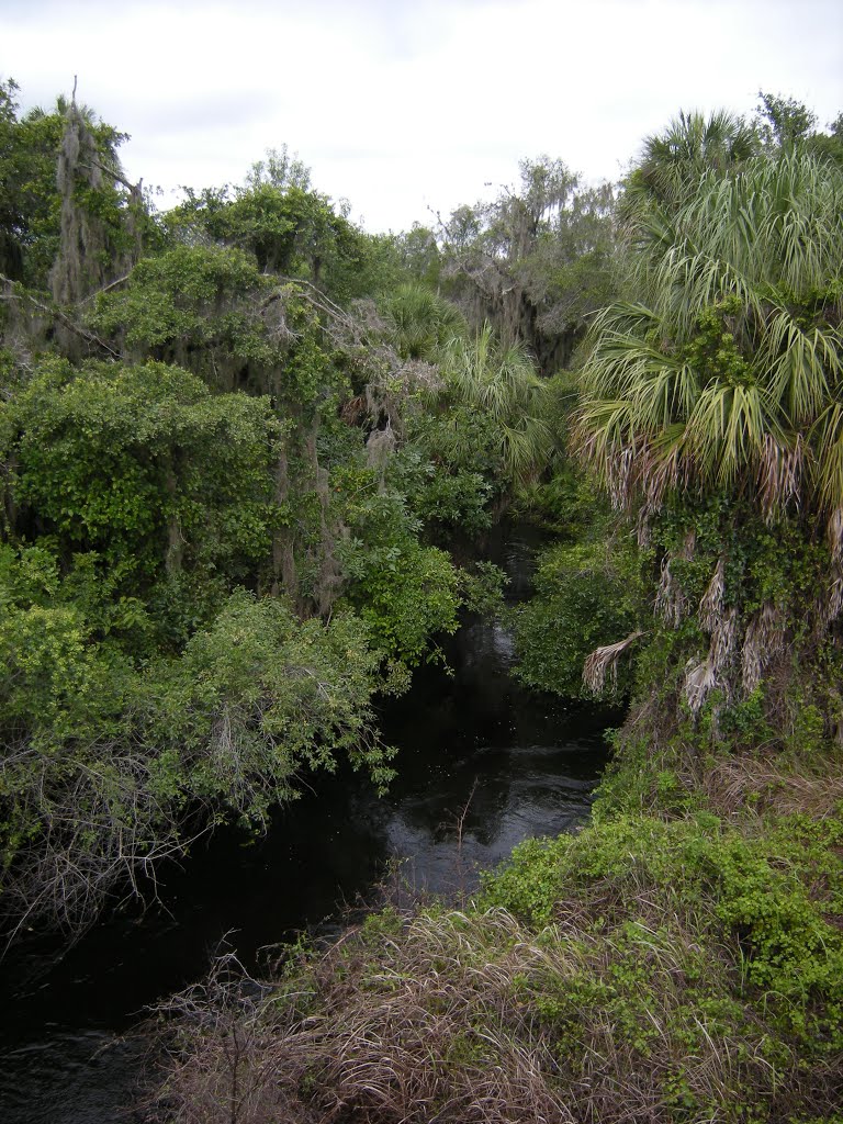 Curiousity Creek