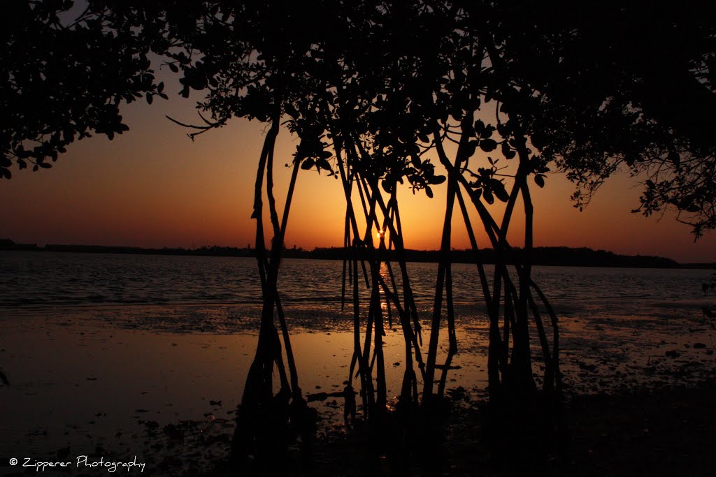 Sand Key Sunrise