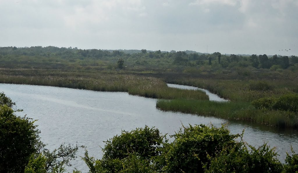 the little manatee river