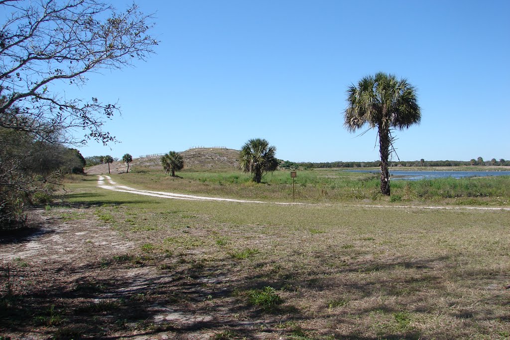 Cockroach Bay