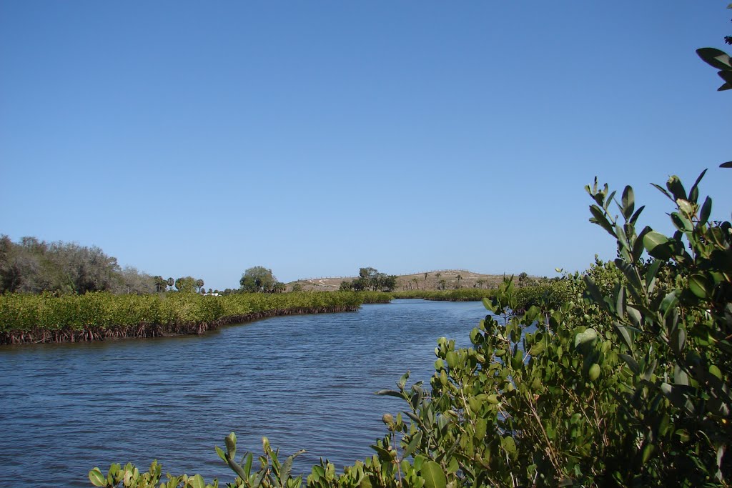 Cockroach Bay
