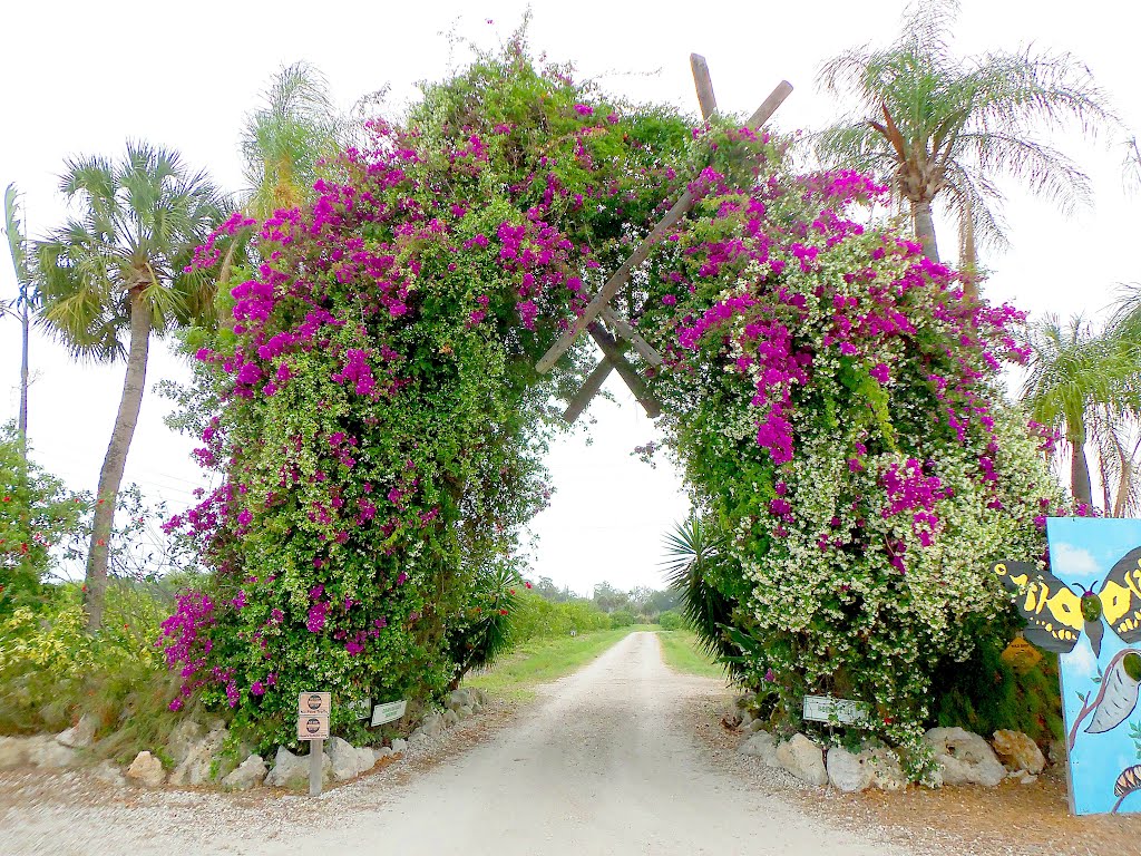 Entrance to groves, Mixons Fruit Farm, Bradenton, FL (2012)