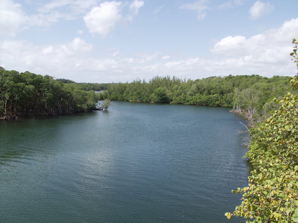 Oleta River