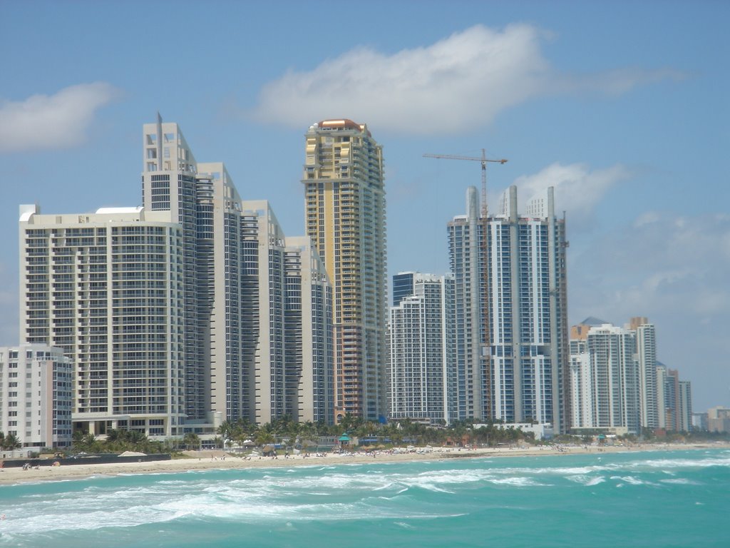 Miami Beach Sunny Island
