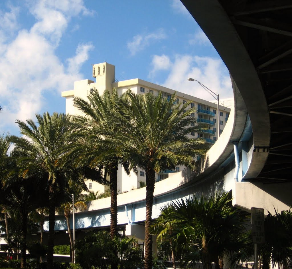 CURVS AND PALMS
