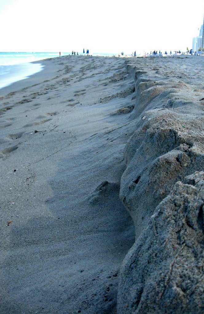 CLIFFLORIDIAN.