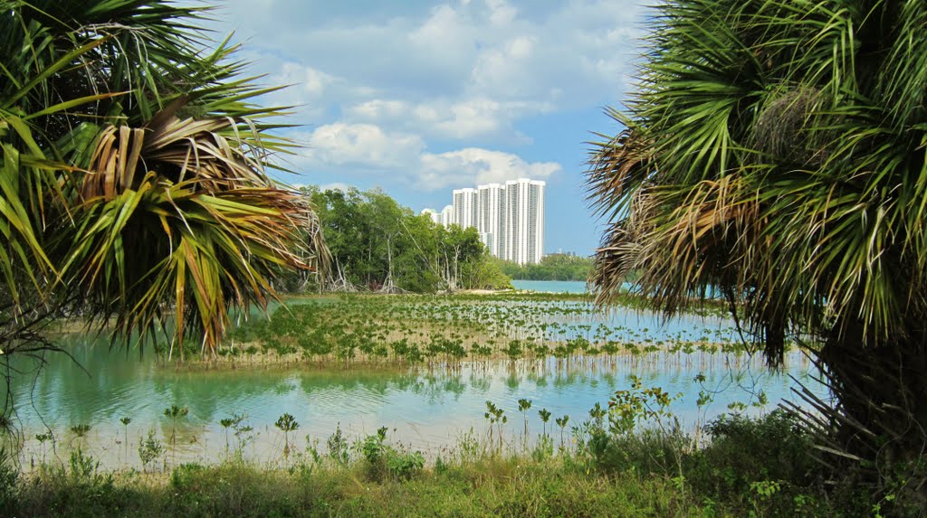 Bel effort de cohabitation entre la nature et lhabitat de lhomme./ Modern style of life according with nature!