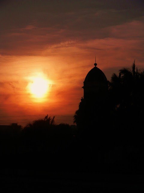 SONROJO