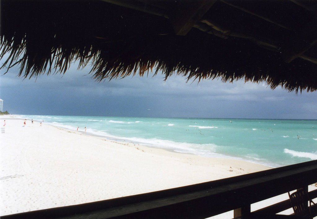Sunny Island