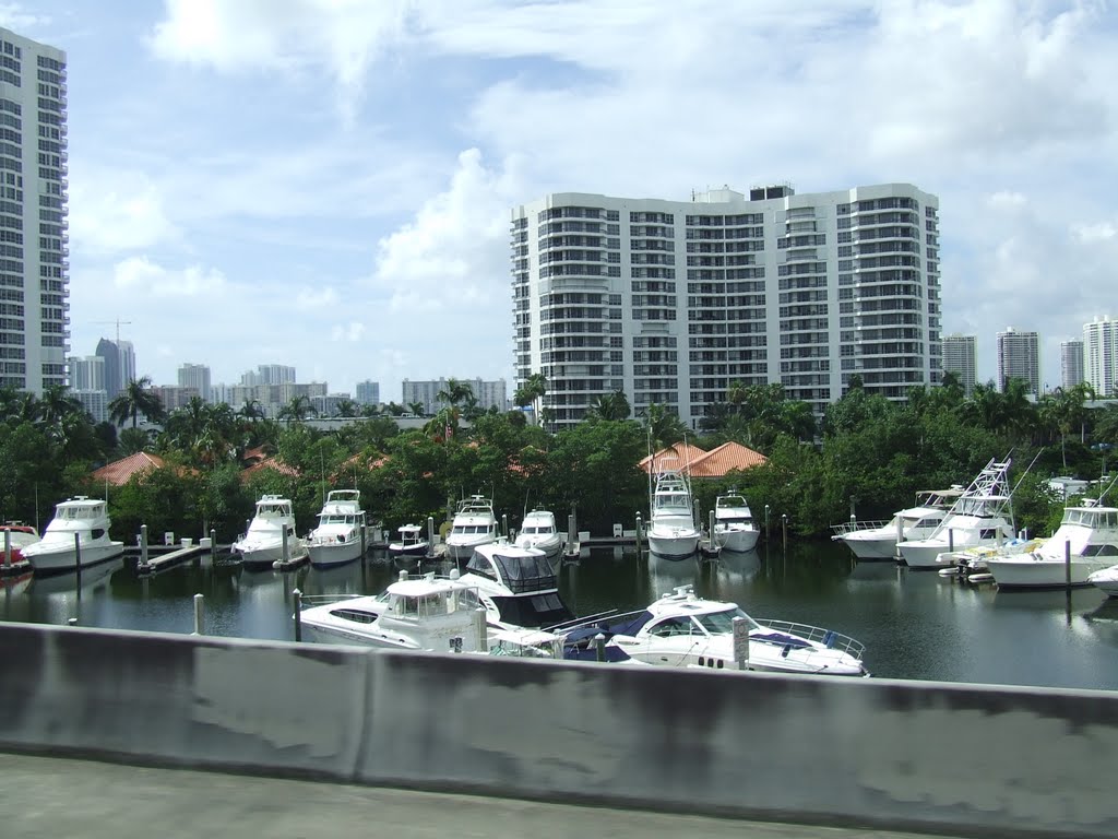 USA. Miami (64010989)