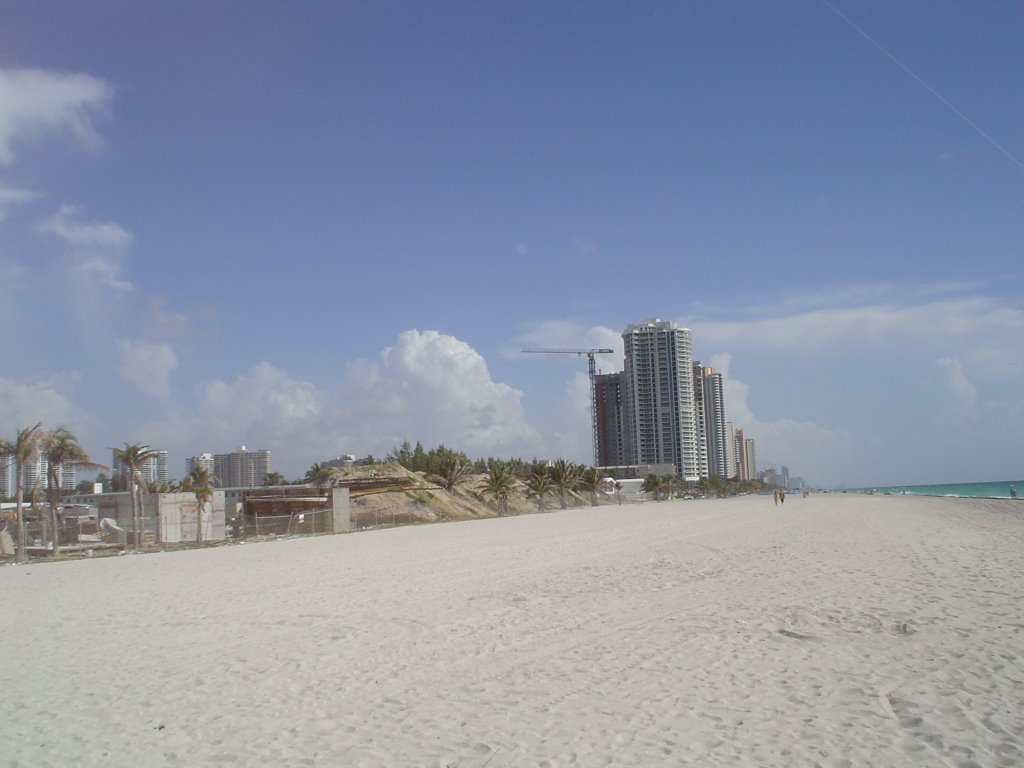 Sunny Isles Beach. Sunny Isles Beach is a major center of South Floridas Russian community, with a plethora of Russian stores lining Collins Avenue, the main thoroughfare through the city. The city is sometimes referred to as Little Moscow because of its 