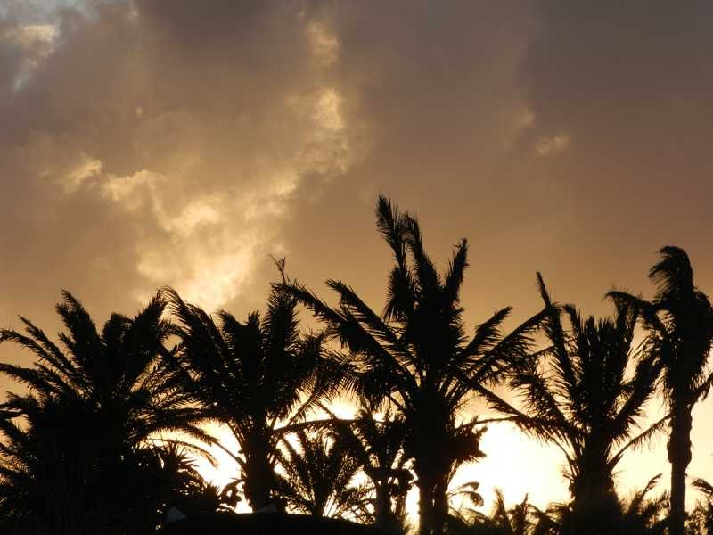 Atardecer