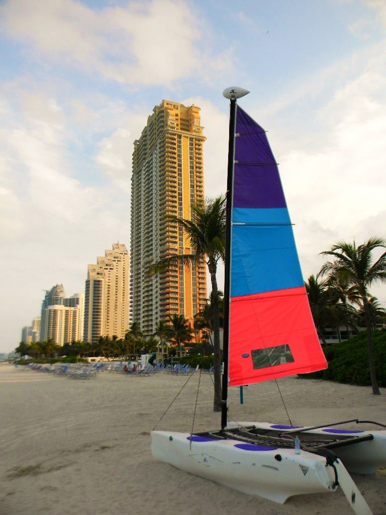 MIAMI SALT LIFE