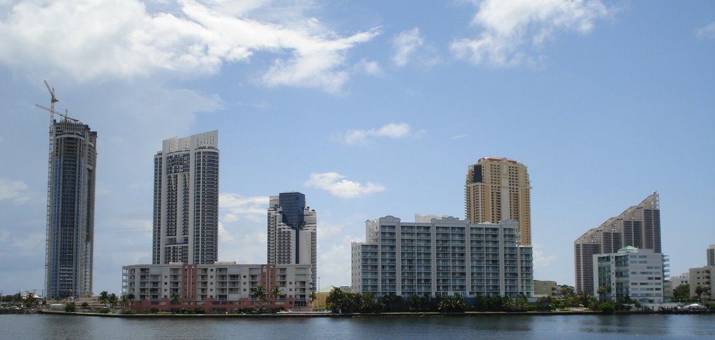 An array of hollywood condos