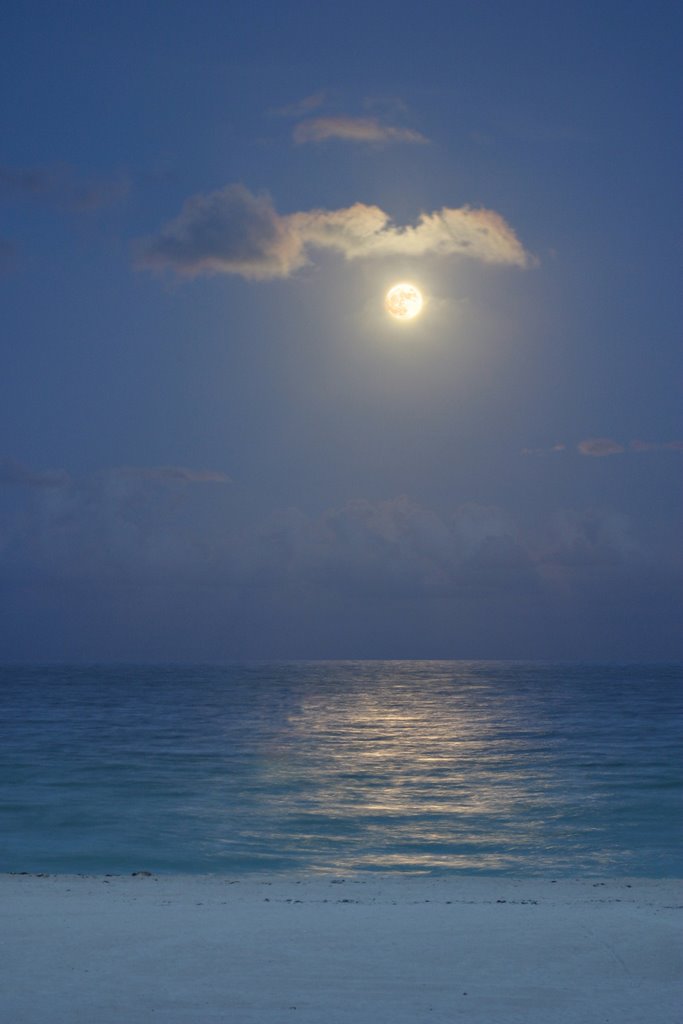 Moon at the beach