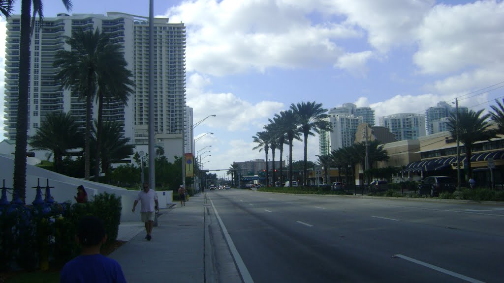 Collins Ave.