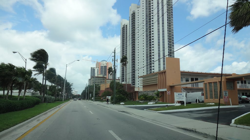 Collins Av.