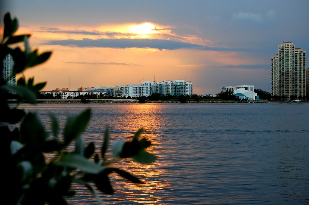 Sun tinted bay