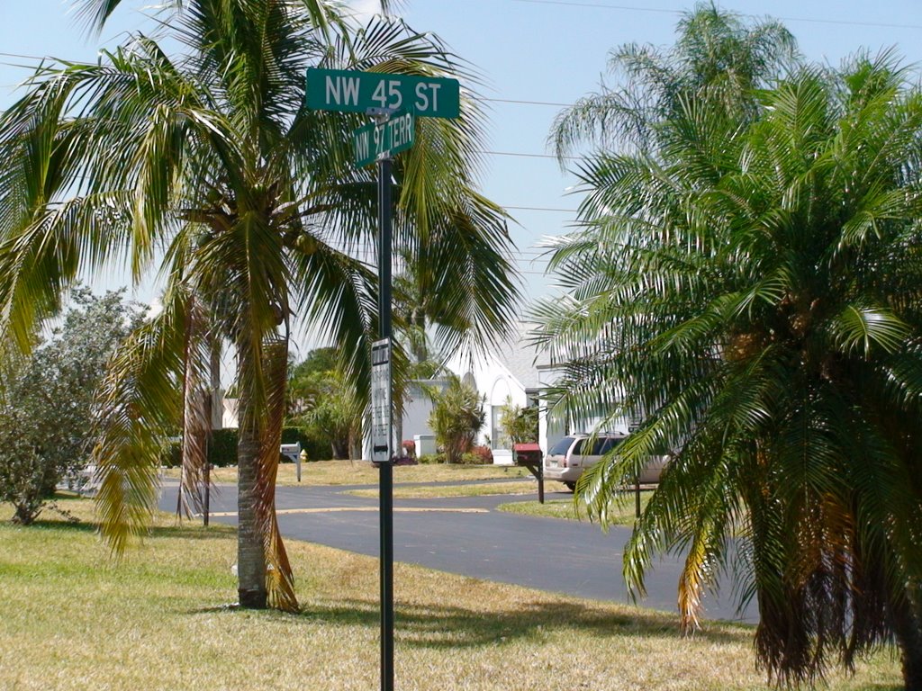Sunny Day in 45th Street (11:20 am, May-2008)
