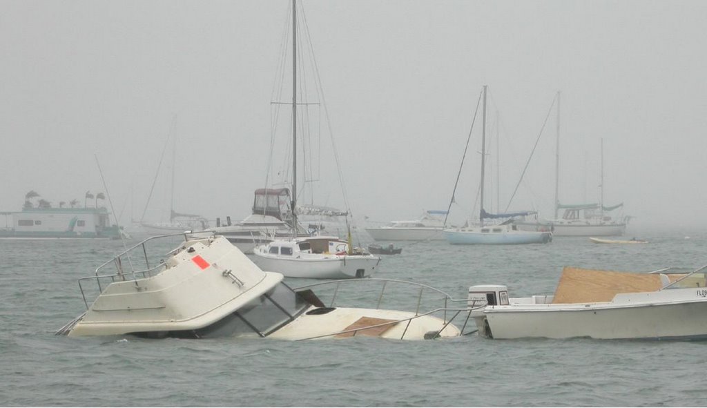Sarasota in the bay