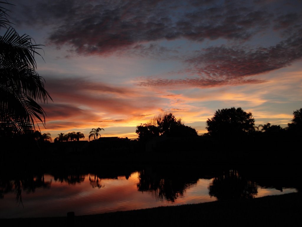 Sarasota Sunset