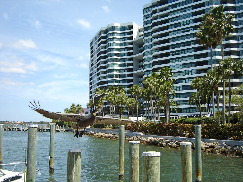 Condo by the bay, Sarasota, Florida
